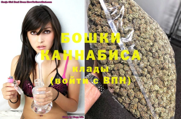 спиды Ладушкин