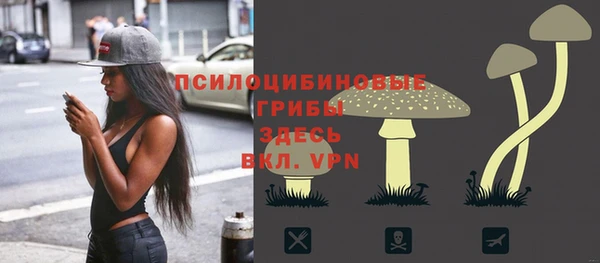 твердый Лабытнанги