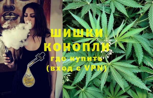 спиды Ладушкин