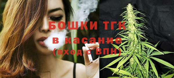 твердый Лабытнанги