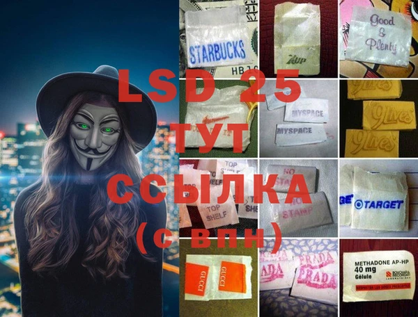 спиды Ладушкин
