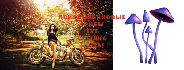 спиды Ладушкин
