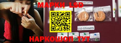 гашик Гусев