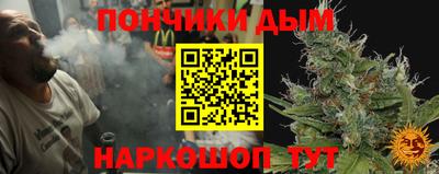 гидропоника Гусиноозёрск