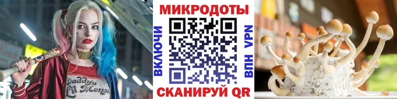Псилоцибиновые грибы Psilocybe  Каменск-Уральский 