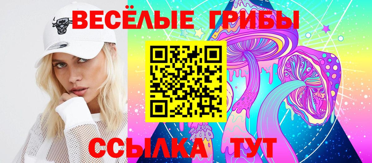 Каменск-Уральский  Галлюциногенные грибы прущие грибы  Вход с VPN 