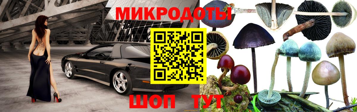 Галлюциногенные грибы Каменск-Уральский